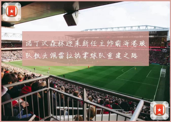 诺丁汉森林迎来新任主帅前海港狼队教头佩雷拉执掌球队重建之路